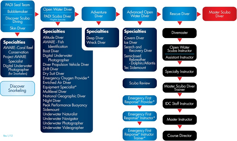 PADI Scuba Certifications